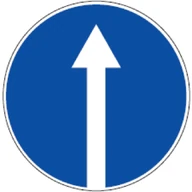 Kelio ženklas 401 „Važiuoti tiesiai“